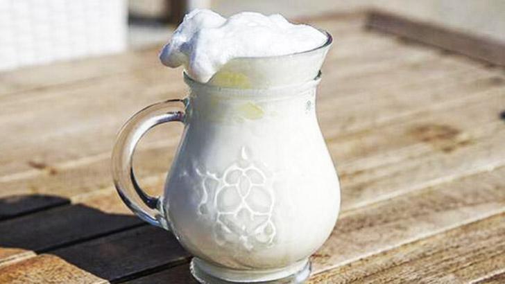 Özel Susurluk Ayranı